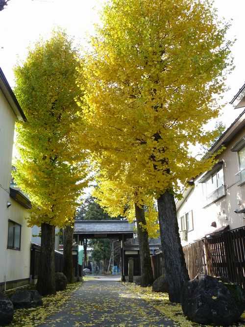 �p�ْ��E����@