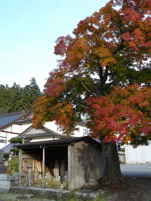 �p�ْ��E�V�J��