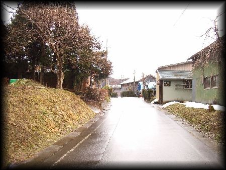 ���{�W��