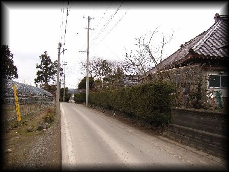 ��t���W��