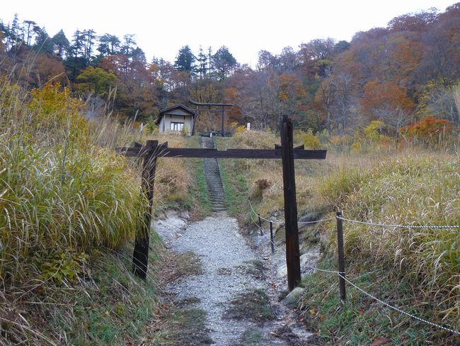 �D������