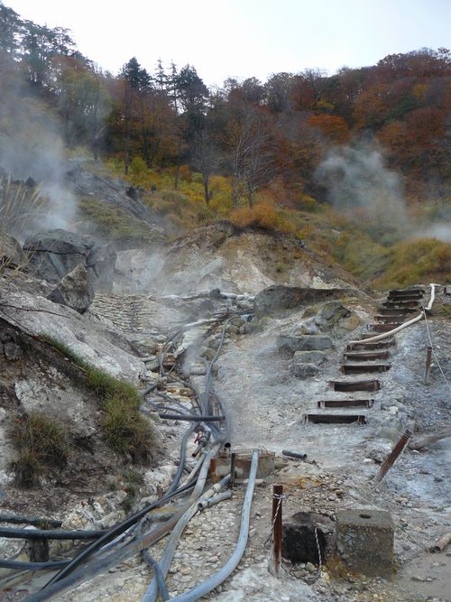 �D������