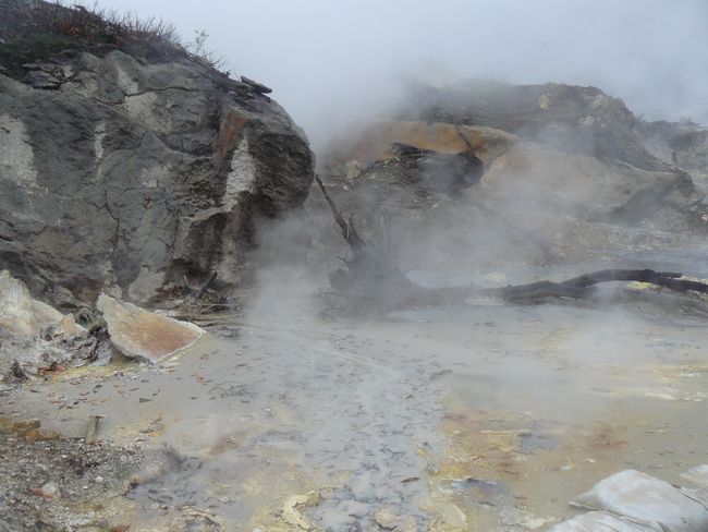 �D������