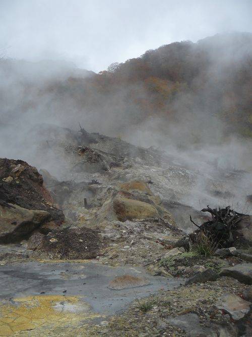 �D������