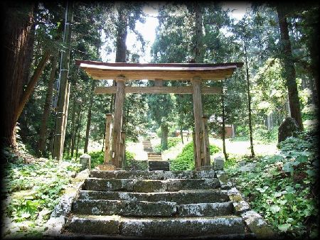 �g��_����