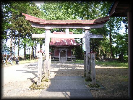 �����_��