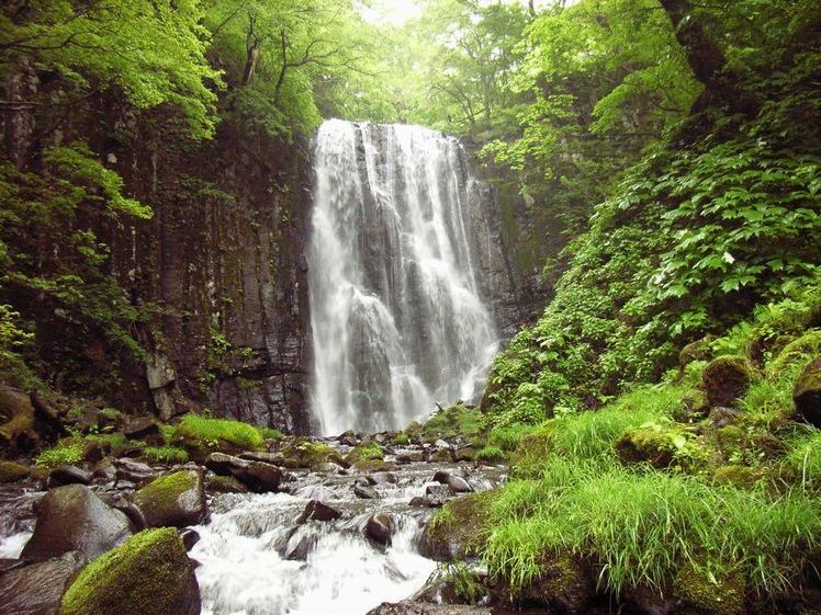 �T�c�s����