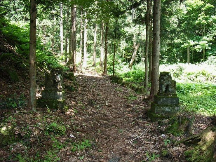 �����̑�