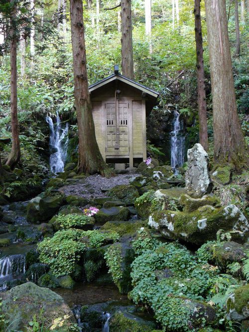 �����s����