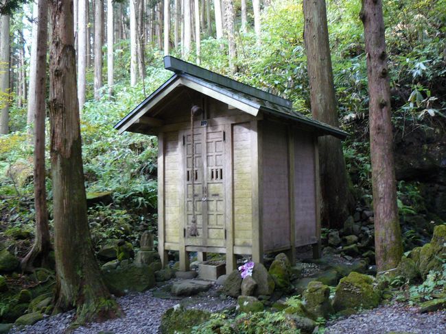 �����s����