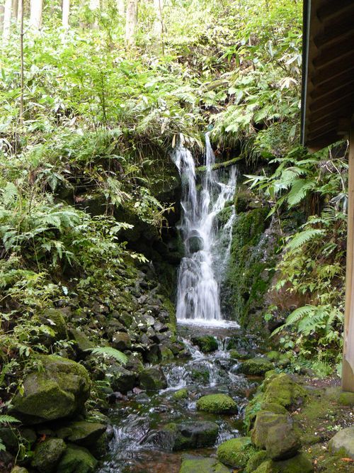 ������i�����j