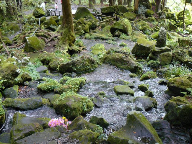 ������i�����j