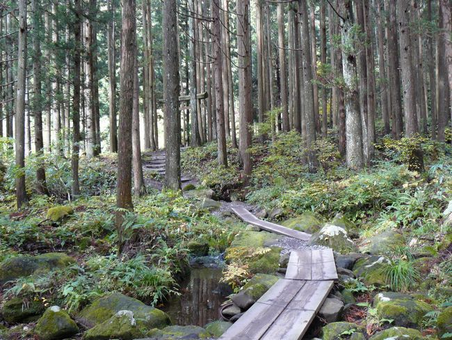 ������i�����j