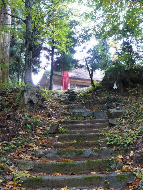 �؋��啨���_��