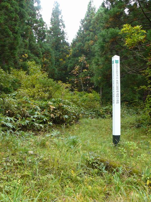 ���K������