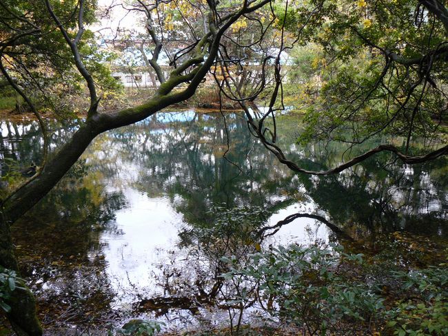 �ےr�l�i�V�����j