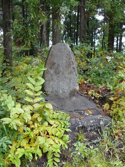 ���C�R�o�q��