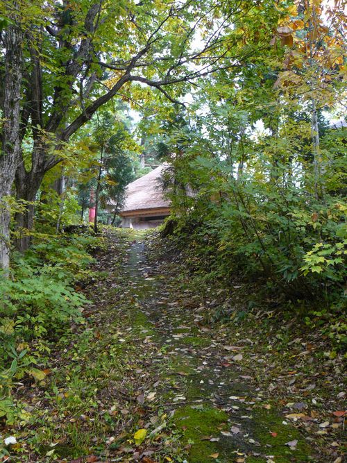 ���C�R�o�q��