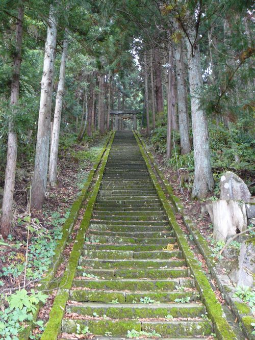 �X�q�啨���_��