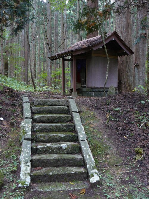 �X�q�啨���_��