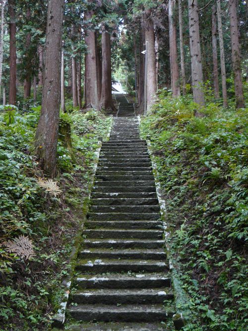 �X�q�啨���_��