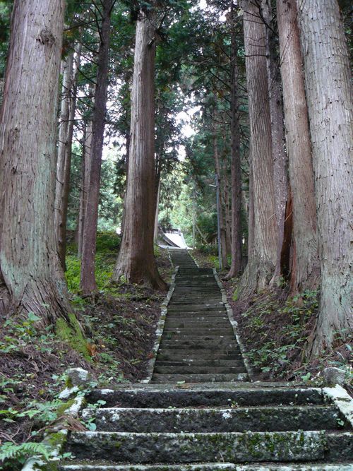 �X�q�啨���_��