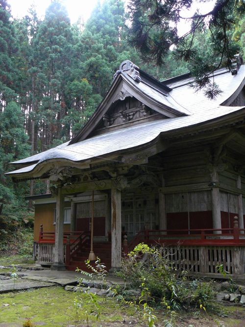 �X�q�啨���_��