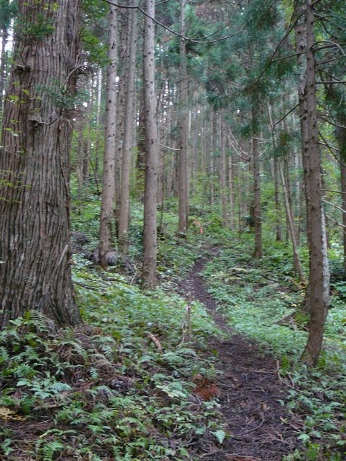 �X�q�啨���_��