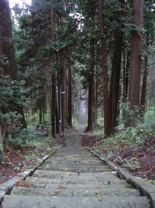 �X�q�啨���_��