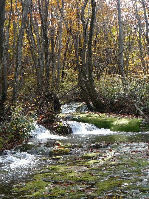 ���q���@����