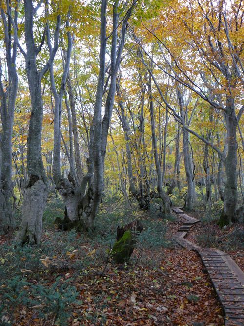 ���q���@����