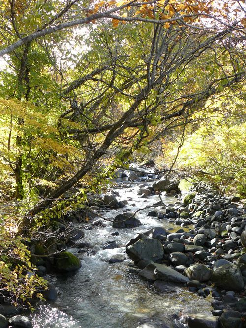 ���q���@����