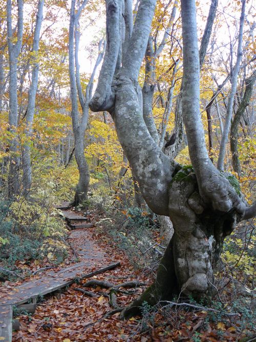 ���q���@����