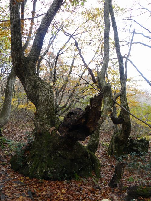 ���q���@����