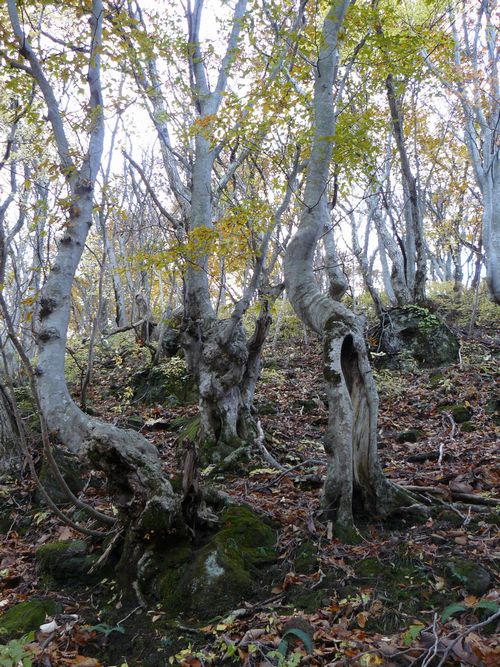 ���q���@����