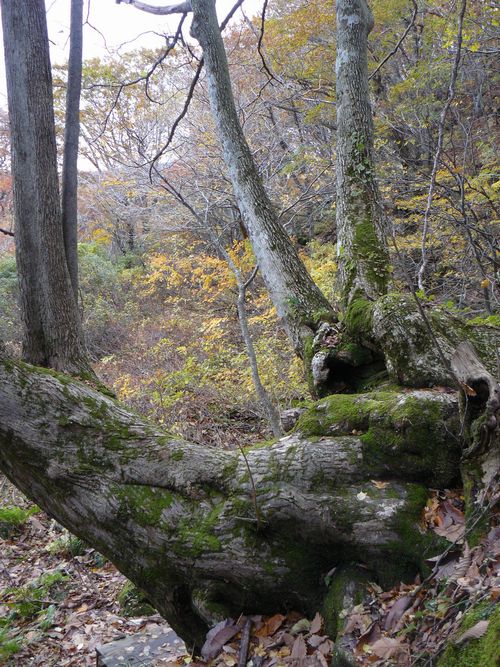 ���q���@����