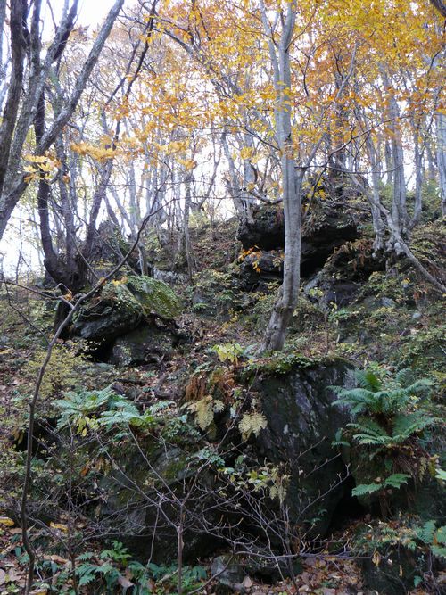 ���q���@����