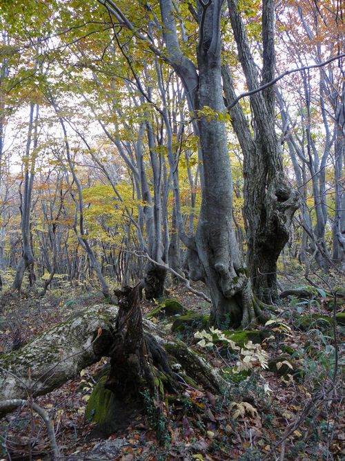 ���q���@����