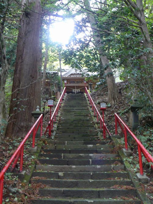 �����_��