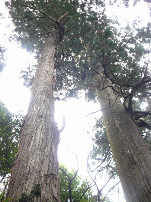 �����_��