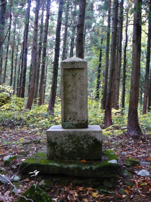 �m���l��