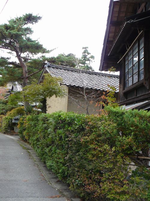 �n�����h�V��