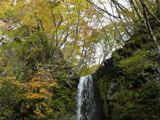 �������E���