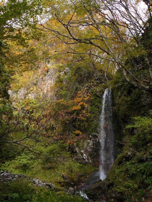 �������E���