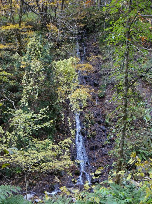 �������E�����̑�